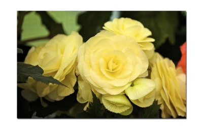 g3/12/781512/3/122570871.SqfW3dk0.jpg