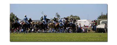 Polocross 15.jpg