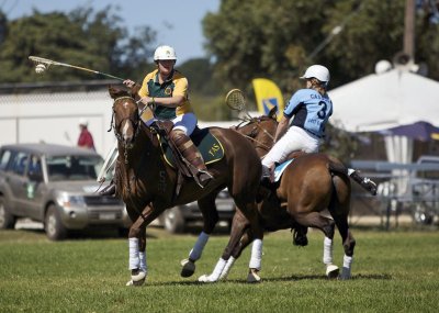 Polocross 4.jpg