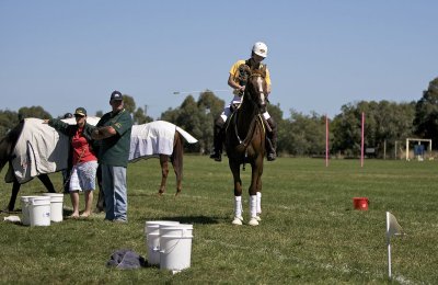 Polocross 6.jpg