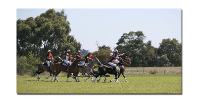 Polocross 36.jpg