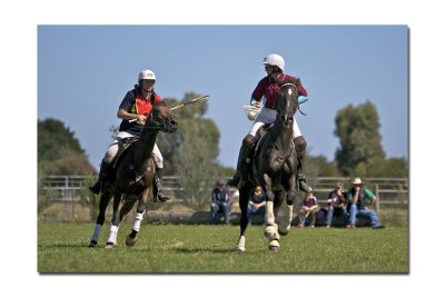 Polocross 40.jpg