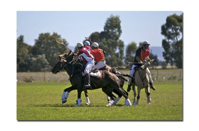 Polocross 39.jpg