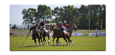 Polocross 38.jpg