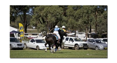 Polocross 60.jpg