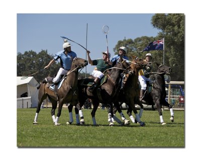 Polocross 56.jpg