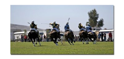 Polocross 48.jpg