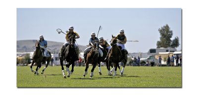 Polocross 51.jpg