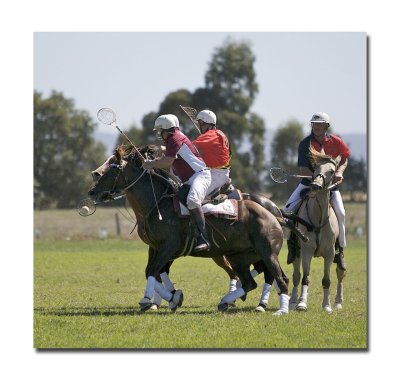 Polocross 67.jpg