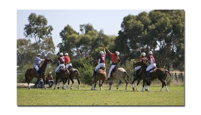 Polocross 65.jpg