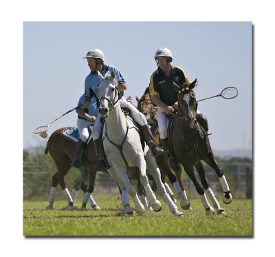 Polocross 86.jpg