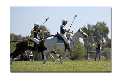 Polocross 105.jpg