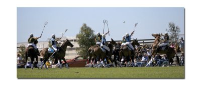 Polocross 110.jpg