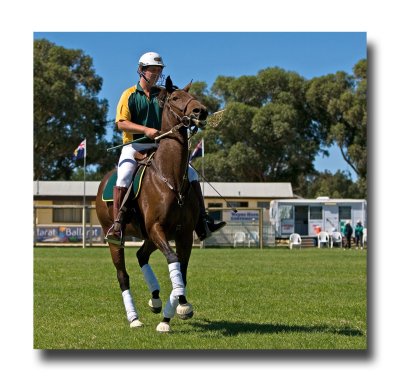 Polocross 123.jpg