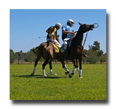 Polocross 136.jpg