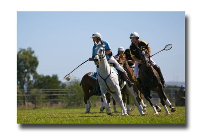 Polocross 138.jpg