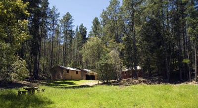 Forest huts.jpg