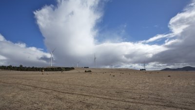 Waubra wind farm 1.jpg