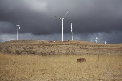 Waubra wind farm 7.jpg