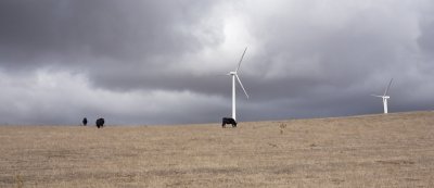 Waubra wind farm 16.jpg