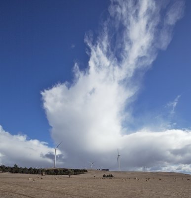 Waubra wind farm 15 1.jpg