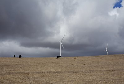 Waubra wind farm 20.jpg