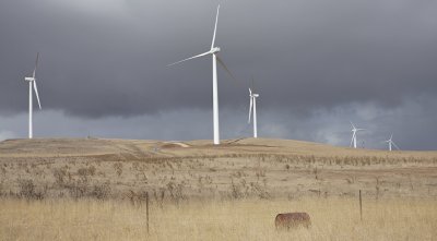 Waubra wind farm 26.jpg
