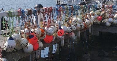 Colourfull fishing bouys.jpg