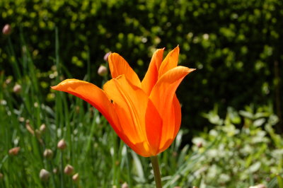 DSC_6175.JPG
