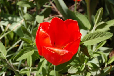 DSC_6186.JPG