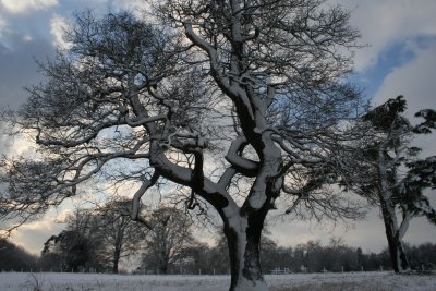 g3/12/783612/3/120393570.hejGPB0d.jpg