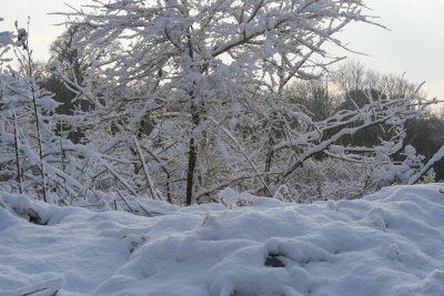 g3/12/783612/3/120393578.ulsmGuVB.jpg