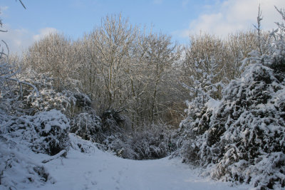 g3/12/783612/3/120393579.Ry0kjf26.jpg