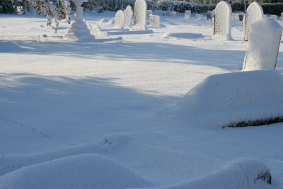 g3/12/783612/3/120393589.YwU04y77.jpg