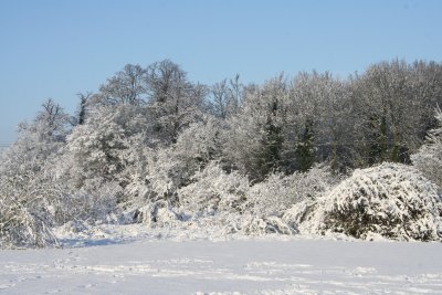 g3/12/783612/3/120393884.c8KIrH4F.jpg