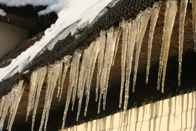 g3/12/783612/3/120422016.c8VAggsK.jpg