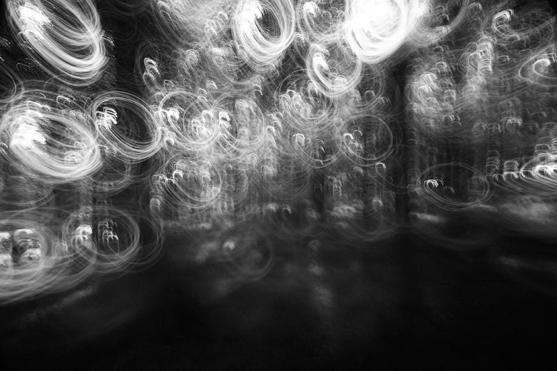 20080802 - Fun in the Woods
