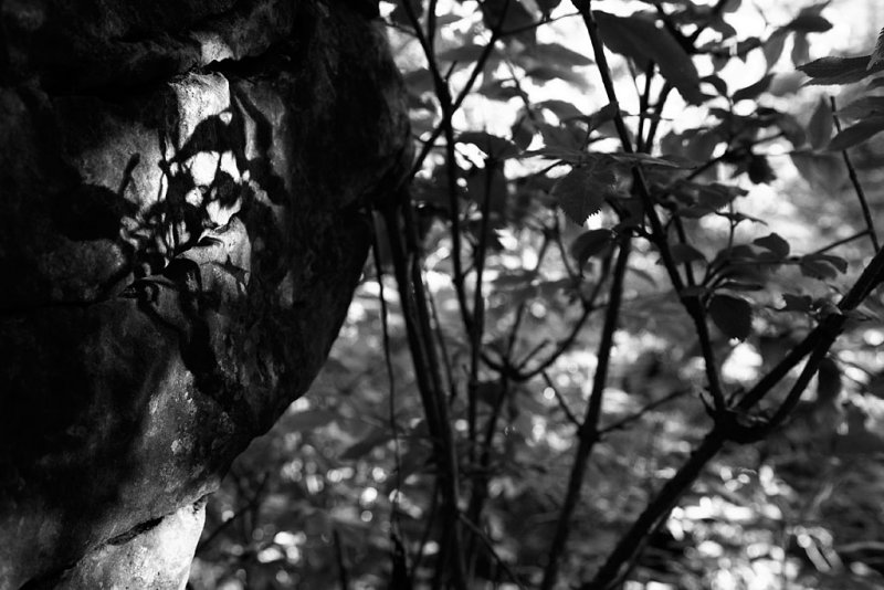 20080804 - Dark