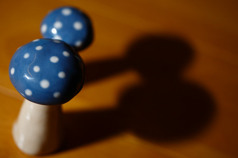 20080908 - Blue 8