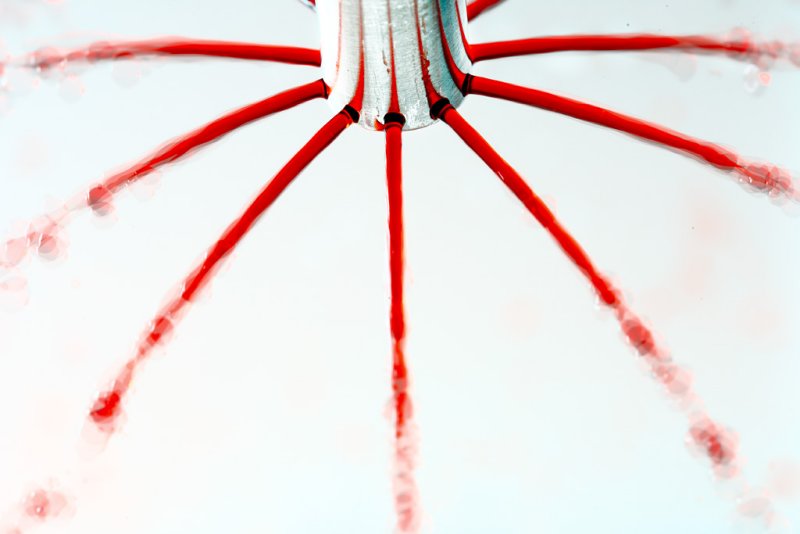 20100526 - Fountain of Blood