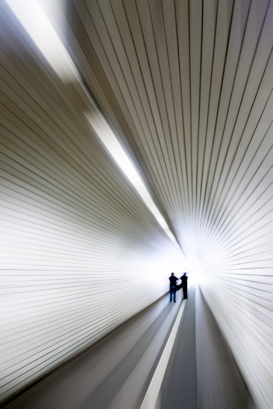 Into the Light