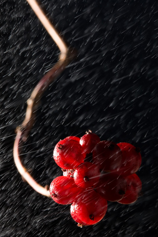 20071111 - Wet