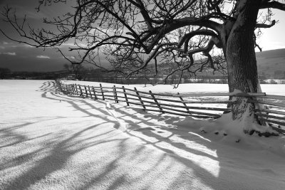 20091218 - Shadowy Snow