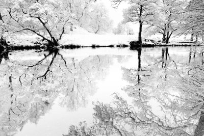 20100105 - Snowy