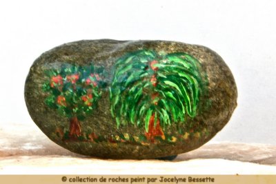 roche_0033.JPG