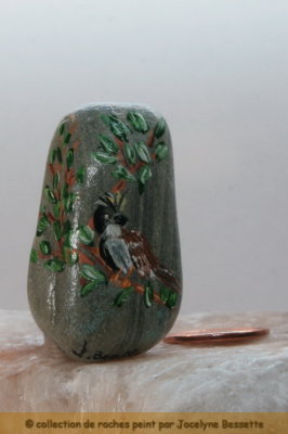 roche_0047.JPG