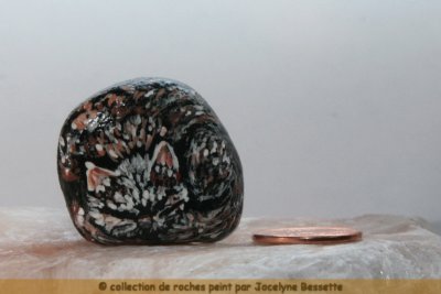 roche_0082.JPG