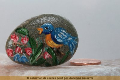 roche_0090.JPG