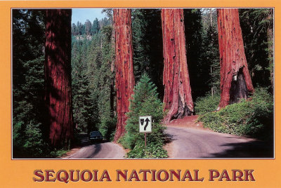 2007 - Sequoia National Park