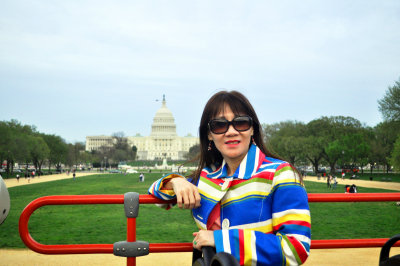 2010 - Cherry Blossoms in Washington, D.C